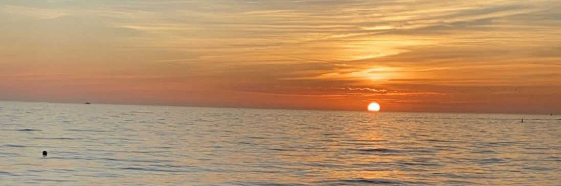 stacykleeman13's profile banner image