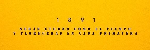 Jose Pedro Daners banner