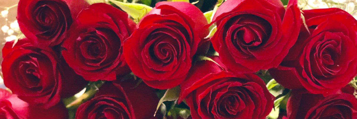 Kary00's profile banner image