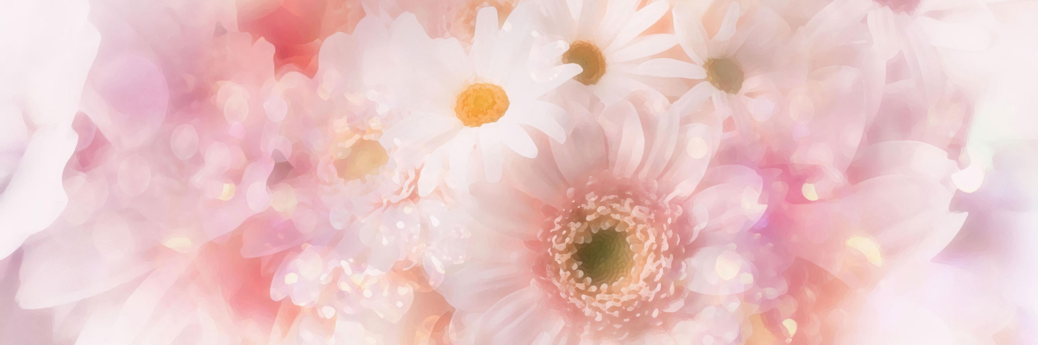 moncherimm's profile banner image
