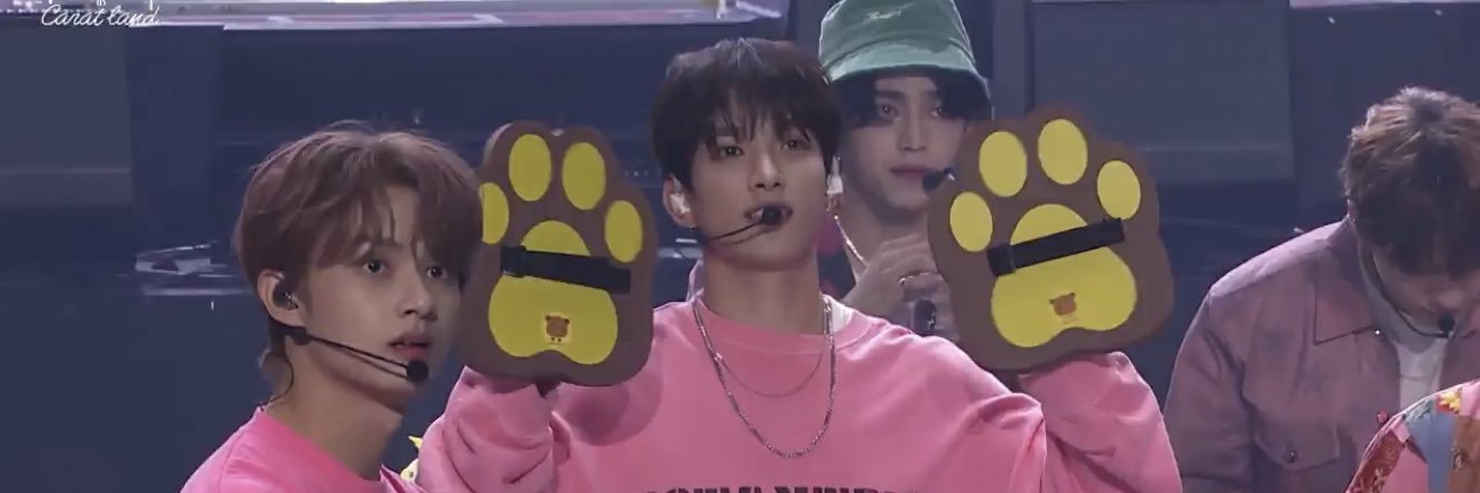 리사 banner