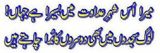Syed_pesh's profile banner image