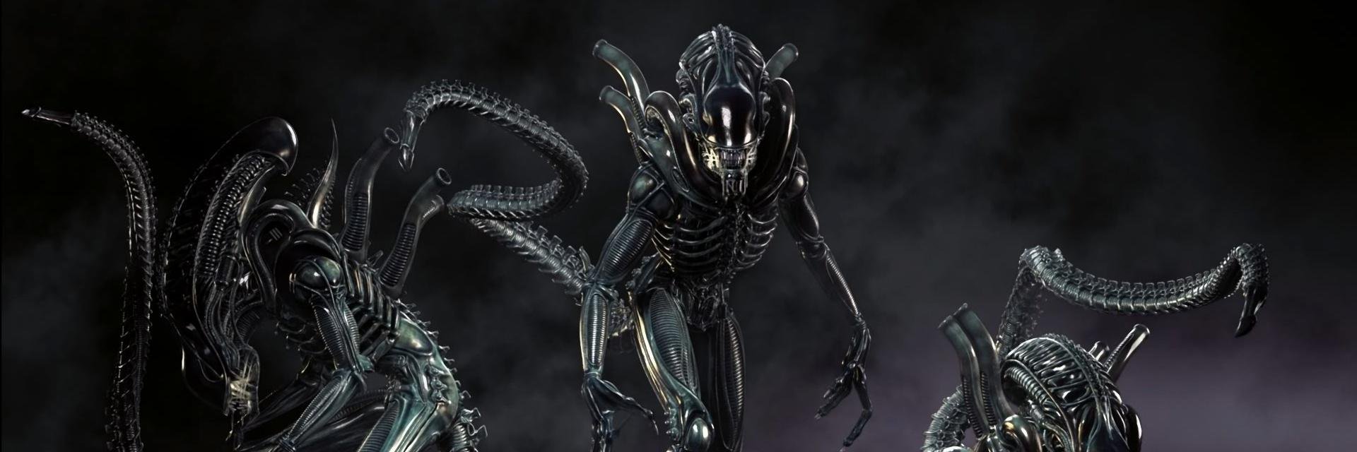 Naiv32's profile banner image