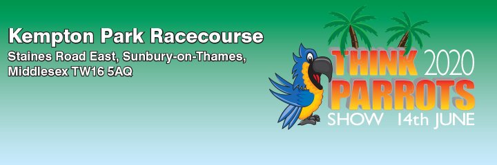 thinkparrots's profile banner image