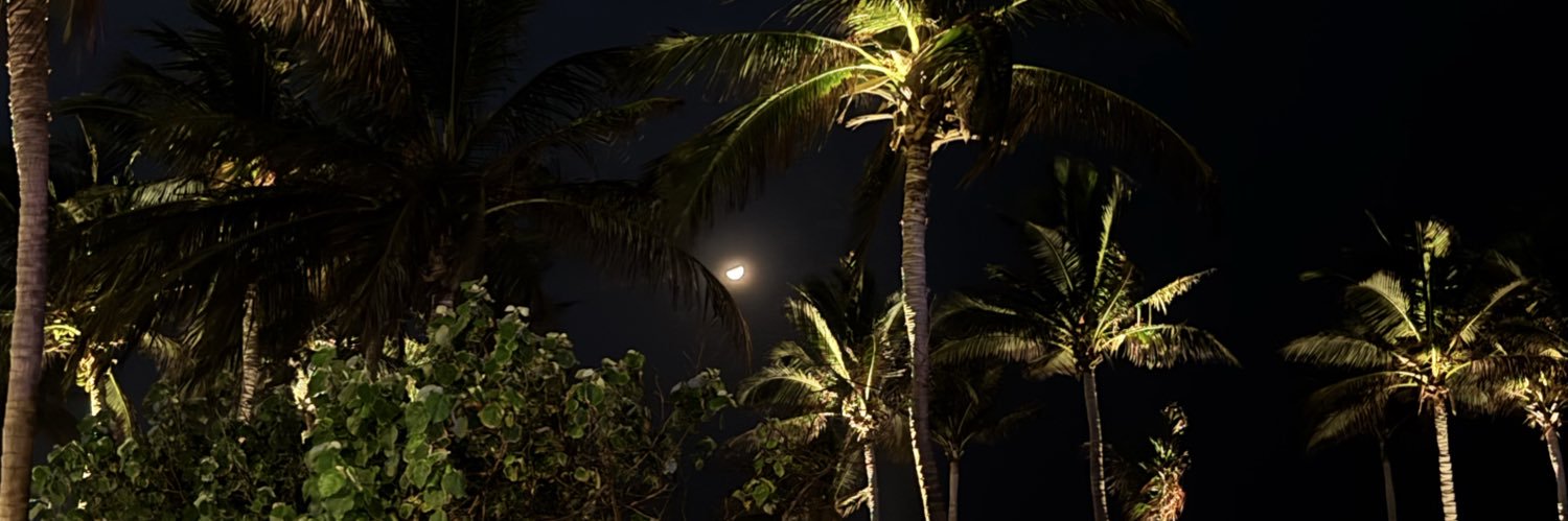 Rasindi1's profile banner image