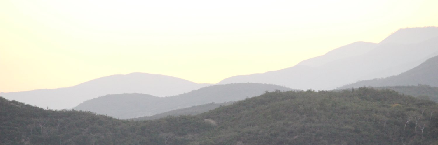 sshhelbs's profile banner image