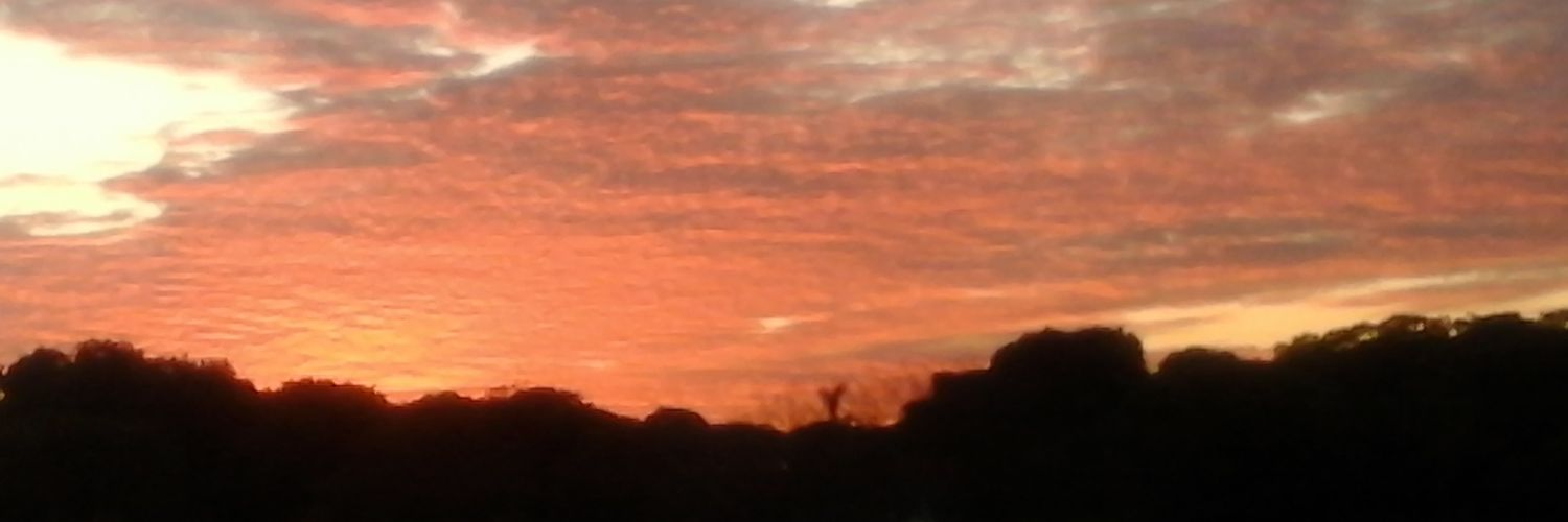 pedroolme72's profile banner image