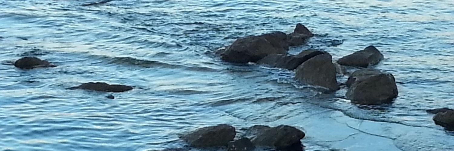 Victoria Güeto Rubio banner