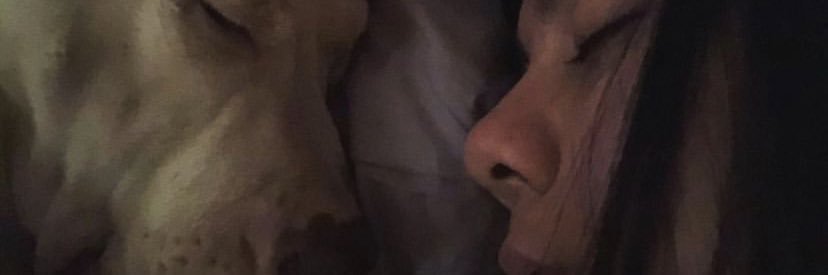 Camilacamacho0's profile banner image