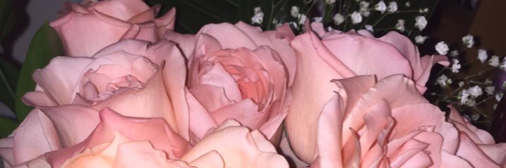 abbysevero's profile banner image