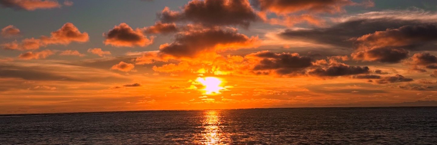 anniec_fi's profile banner image