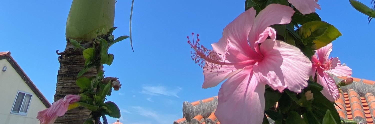 piyo9423's profile banner image