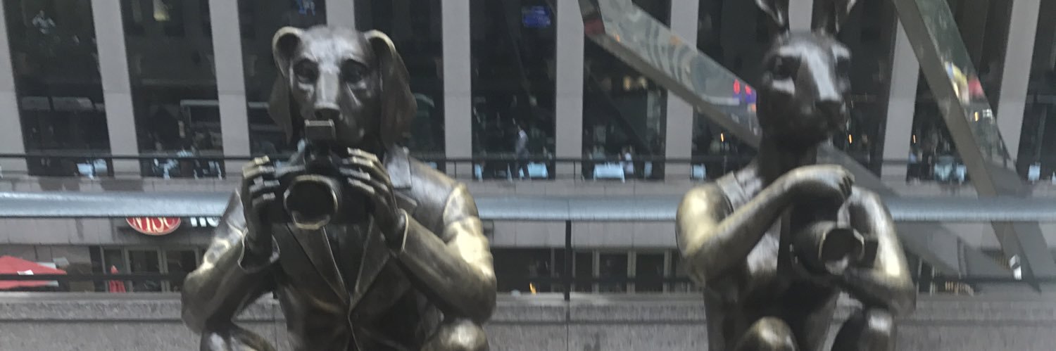 idee2111's profile banner image