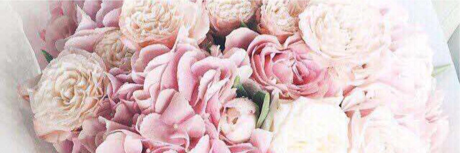 mozan996's profile banner image