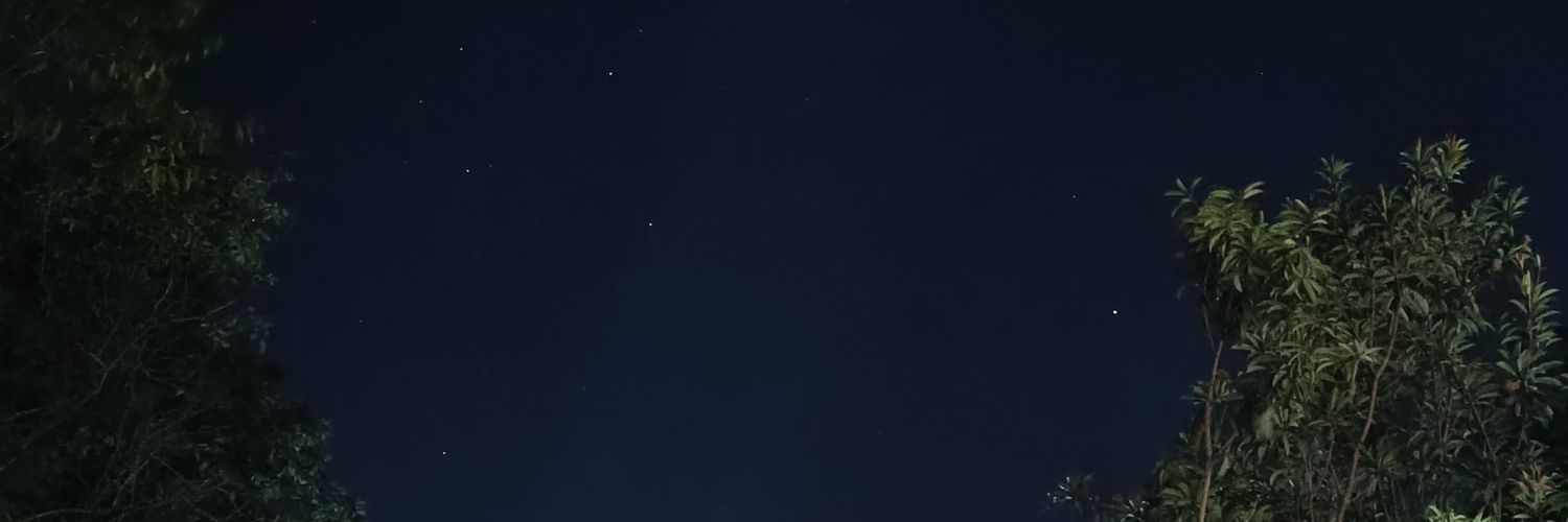 nadaisy_'s profile banner image