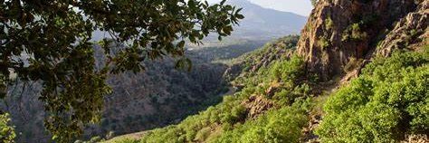 TheMountainPir banner