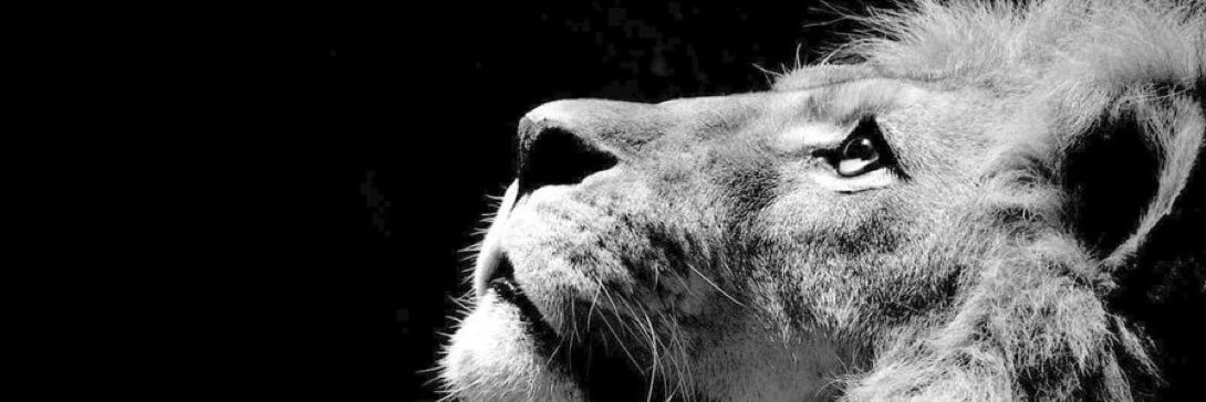 OGGUEVARA's profile banner image