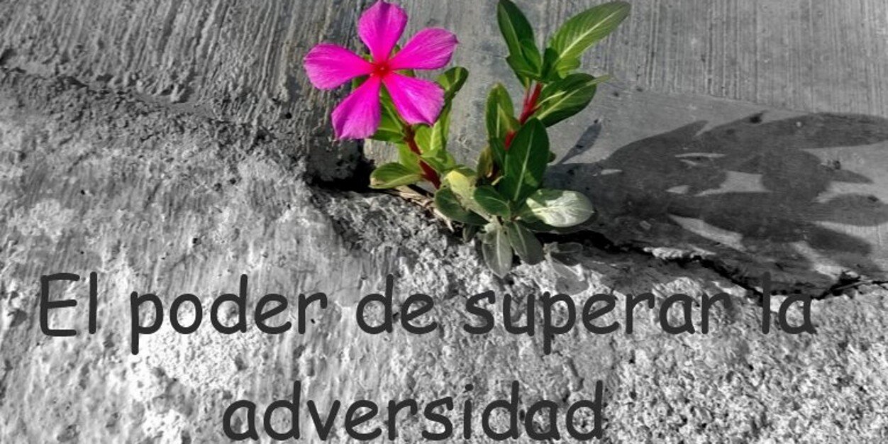 MarioRamirez67's profile banner image