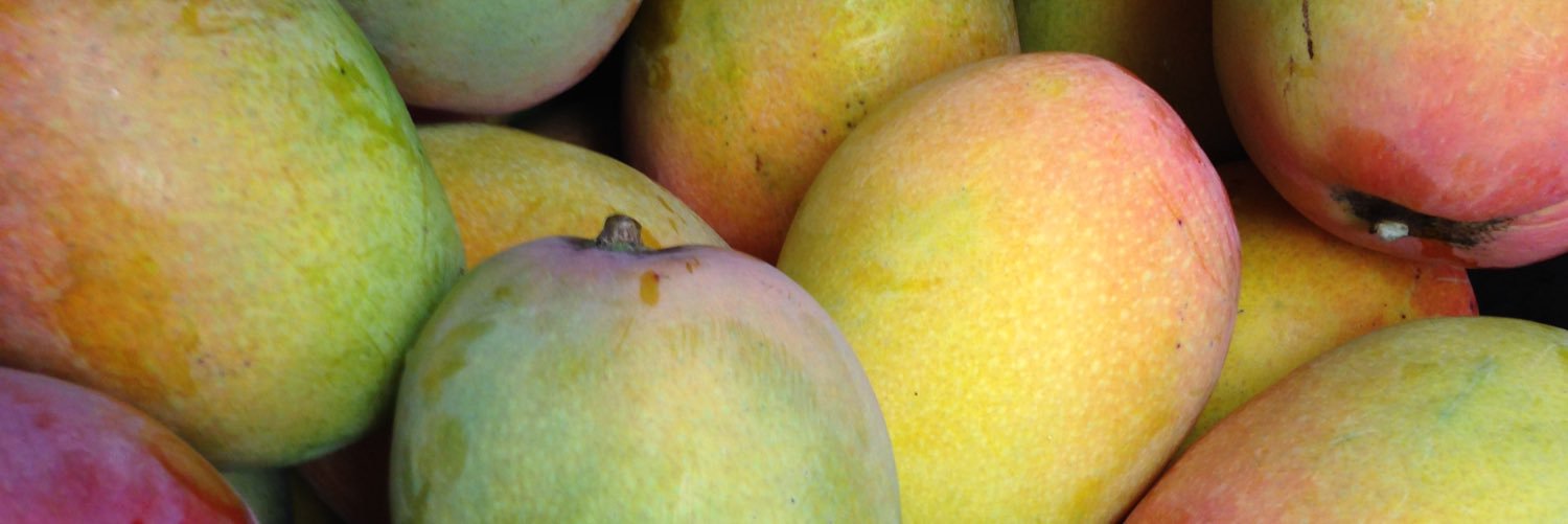 Jeff Wasielewski banner