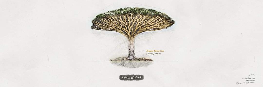 TareqBasha1's profile banner image