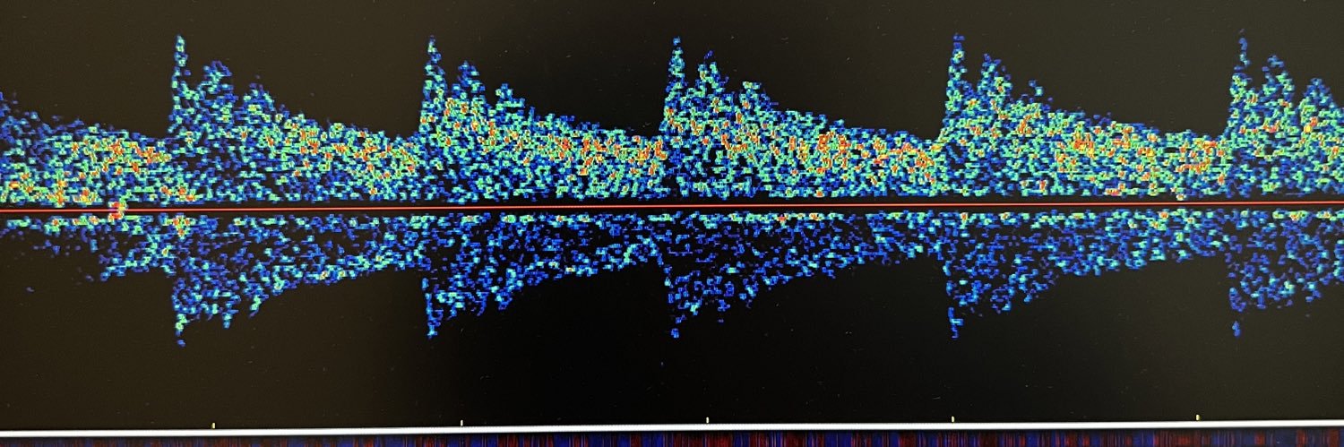 Reza Bavarsad banner