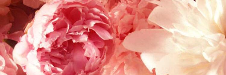 a_tak0's profile banner image
