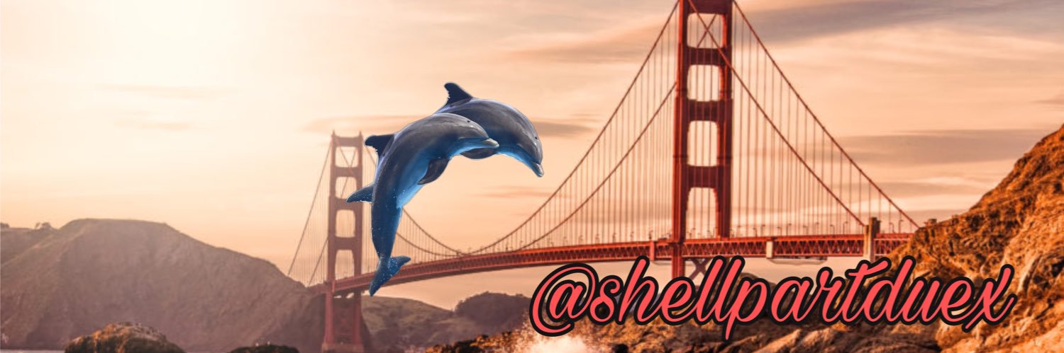 𝓢𝓱𝓮𝓵𝓵𝔂 🩵 banner