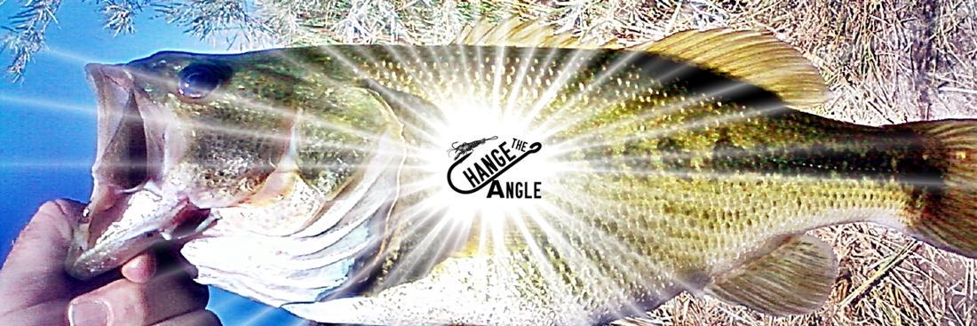 Change The Angle banner