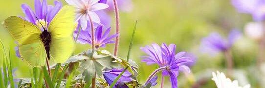 vrede0605's profile banner image