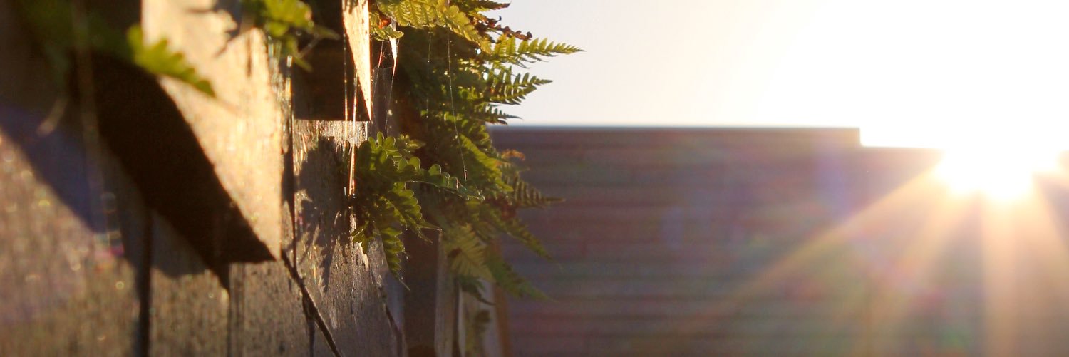 TaylorDundee's profile banner image