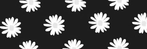 ainiivns's profile banner image