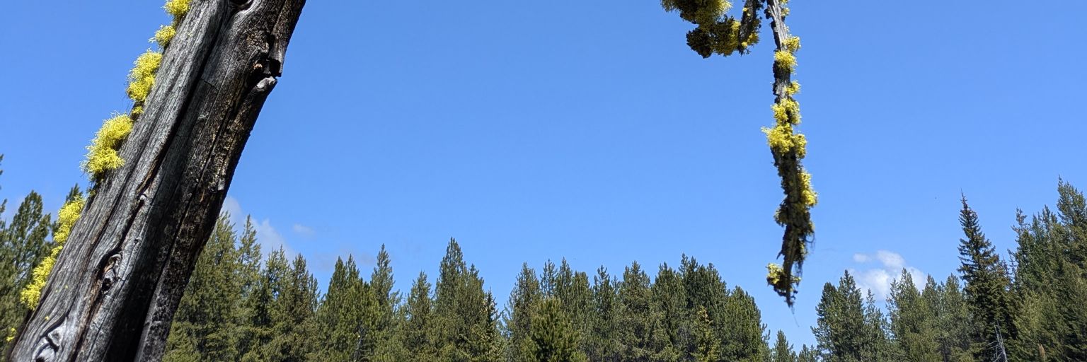 JeeperJoe01's profile banner image