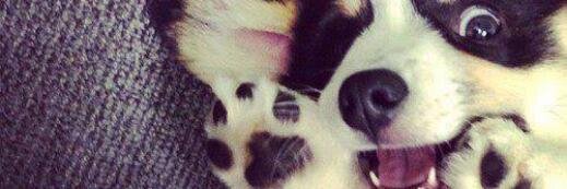 ManuNiquele's profile banner image