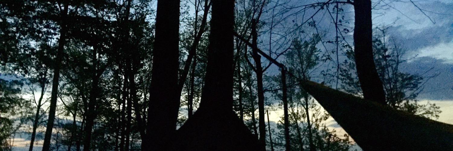 Keri_Lipinski's profile banner image