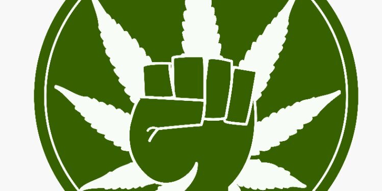 macadon159's profile banner image