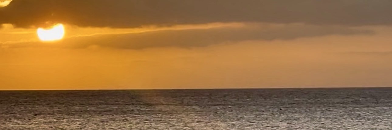 Jamie_Deee's profile banner image
