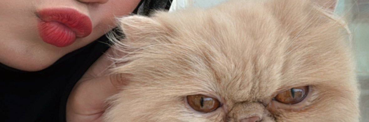 wuvuux's profile banner image