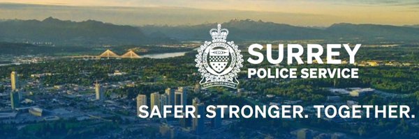 TwoFox15 Profile Banner