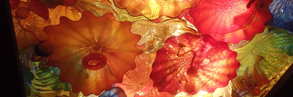 Cynthia Rajkovich banner