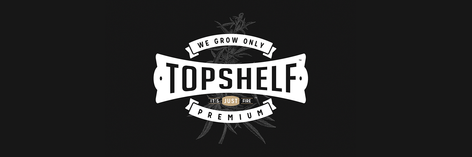 TopShelfWa's profile banner image