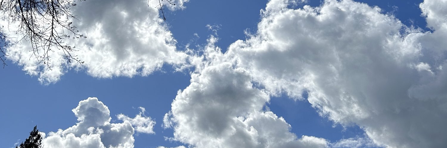 strawbrrysky's profile banner image