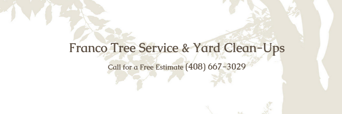 FrancoTree408's profile banner image