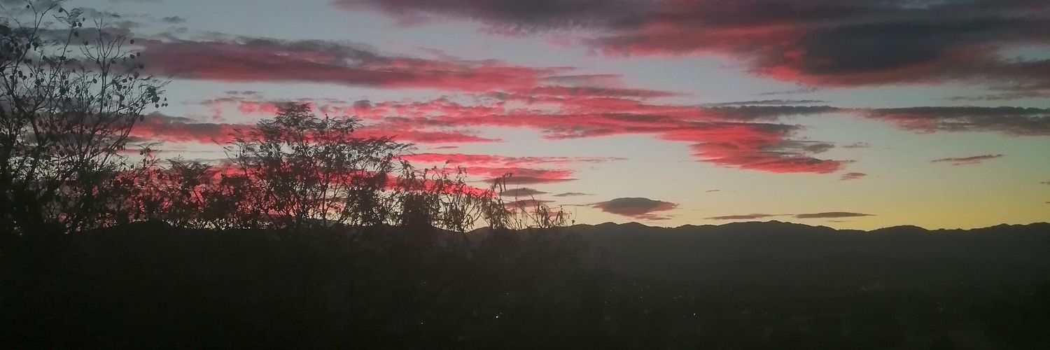salyleyva's profile banner image
