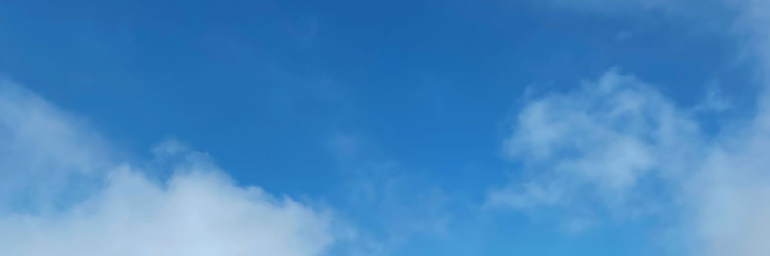 esmanur_bulum's profile banner image