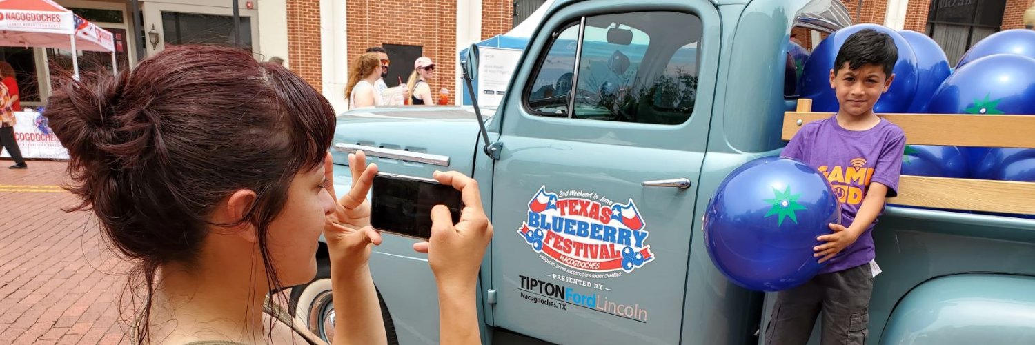 Texas Blueberry Fest banner
