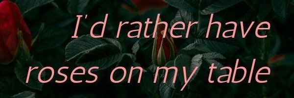 Saga banner