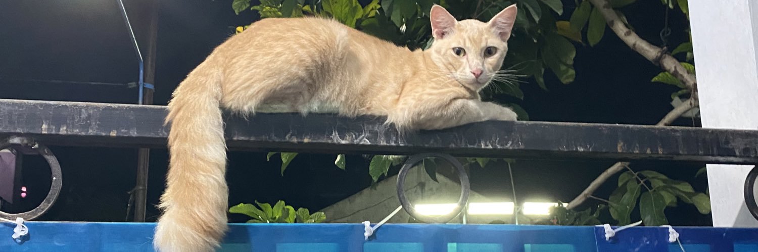 xelcisio's profile banner image
