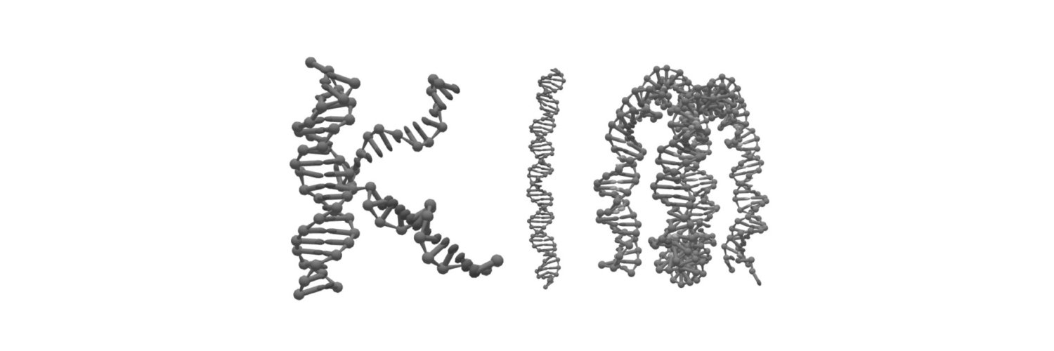 Harold D. Kim banner