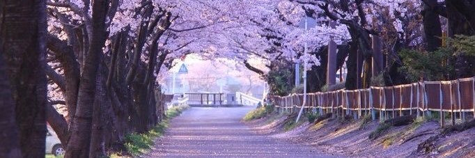 Raina Thorpe 🇸🇩🇨🇩🇵🇸 ⚖️👩🏾‍💻 banner