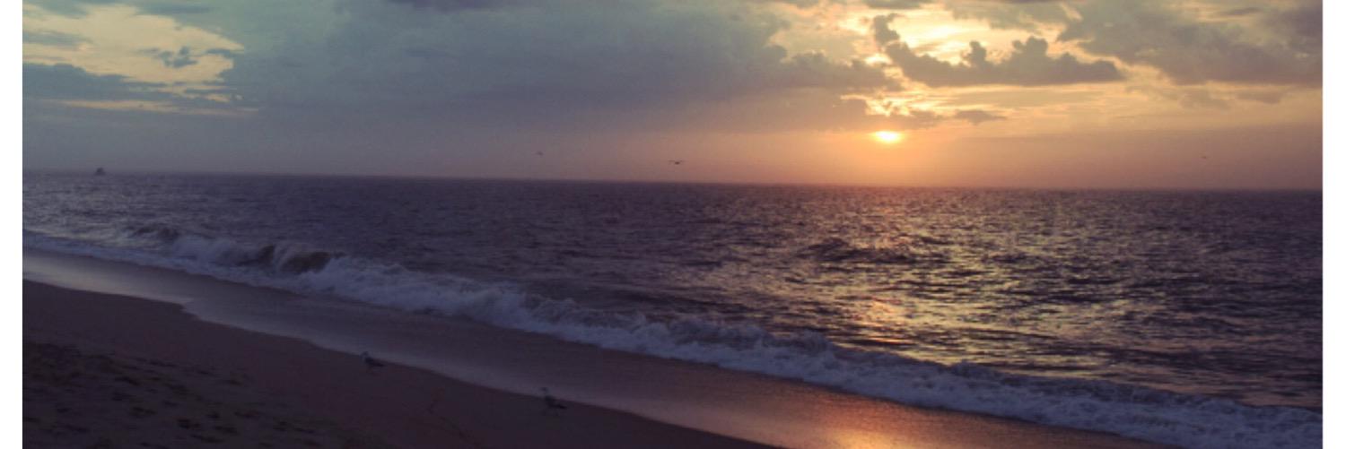 ShoreFresh_SF's profile banner image